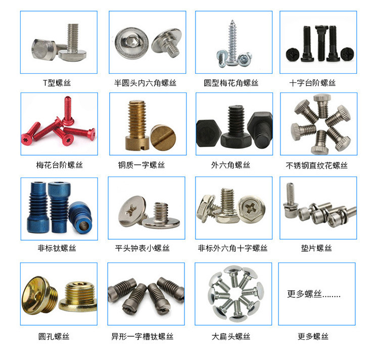 單頭雙工位鎖螺絲（sī）機10